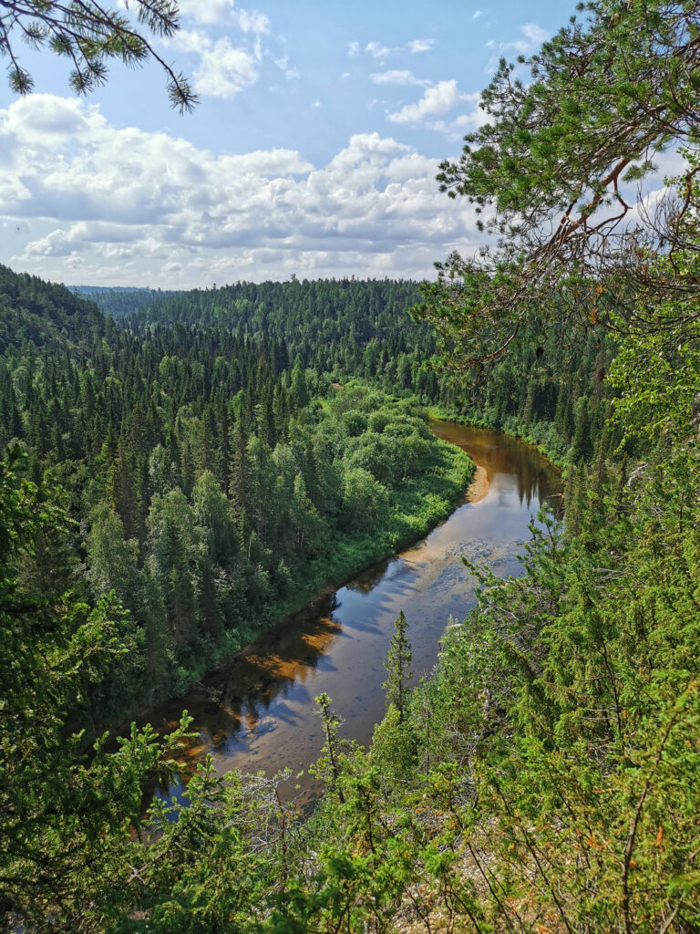 Beautiful summer landscape with green forest and river. View from a height. Sotka river, Pinega district, Arkhangelsk region