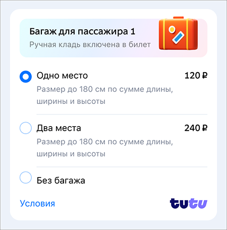 Оплата багжа в автобусе